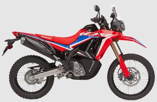 φωτογραφία μοτοσυκλέτας HONDA - CRF300 RALLY(2021) ENDURO